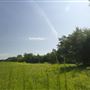 Rydell Ranch