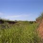 Rydell Ranch
