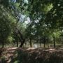 Rydell Ranch