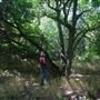 Rydell Ranch