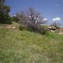 Rydell Ranch