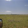 Rydell Ranch