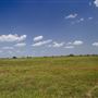 Rydell Ranch