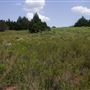 Rydell Ranch