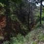 Rydell Ranch