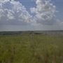 Rydell Ranch