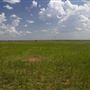 Rydell Ranch
