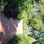 L.A. Cann Memorial Gardens & Estate