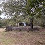 Ward Ranch