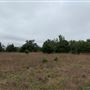 Ward Ranch
