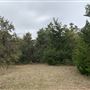 Ward Ranch