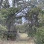 Ward Ranch