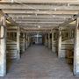 Big V Ranch