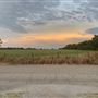 Working Ranch & Farm in Ponca City