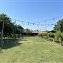 Nellis Vineyards