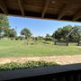 Nellis Vineyards