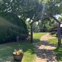 Nellis Vineyards