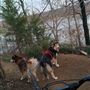 Collinsville Lake Mountain Biking & Hiking Trails