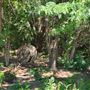 Stryker Park