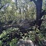 Chandler Park