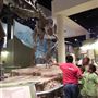 Sam Noble Oklahoma Museum of Natural History