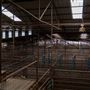 Collinsville Livestock Sales