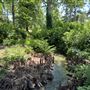Will Rogers Gardens