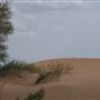 America's Oasis