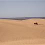 Little Sahara State Park
