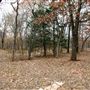 Bostic Farm