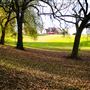 Dewberry Park