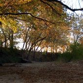 Chickasaw Nation Land