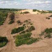 Beaver Dunes Park