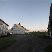 Groce Farm