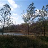 The Farm