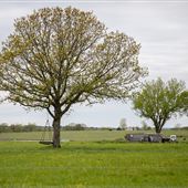 N 460 Rd W 678 Rd