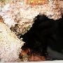 Alabaster Caverns State Park