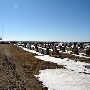 Alva Municipal Cemetery