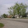Downtown Grove