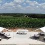 Greenfield Vineyard and Winery
