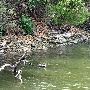 Honey Creek State Park