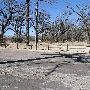 Mineral Wells Park