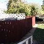 Young House