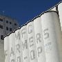 Yukon's Best Flour