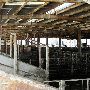Oklahoma City Stockyards