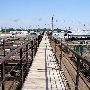 Oklahoma City Stockyards