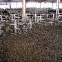 Oklahoma City Stockyards