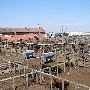 Oklahoma City Stockyards