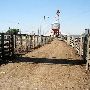 Oklahoma City Stockyards