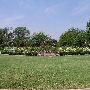 University of Oklahoma Campus